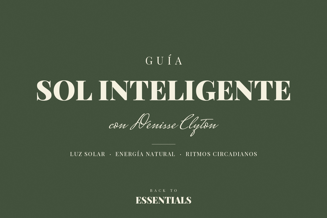 GUÍA SOL INTELIGENTE